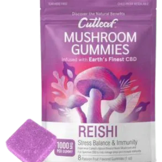 Reishi Mushroom Gummy