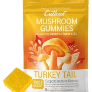 Turkey Tail Mushroom Gummies
