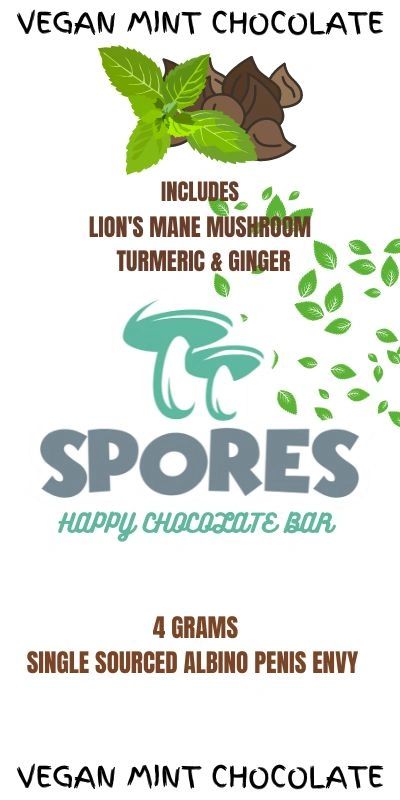 Spores Vegan Mint Chocolate Bar