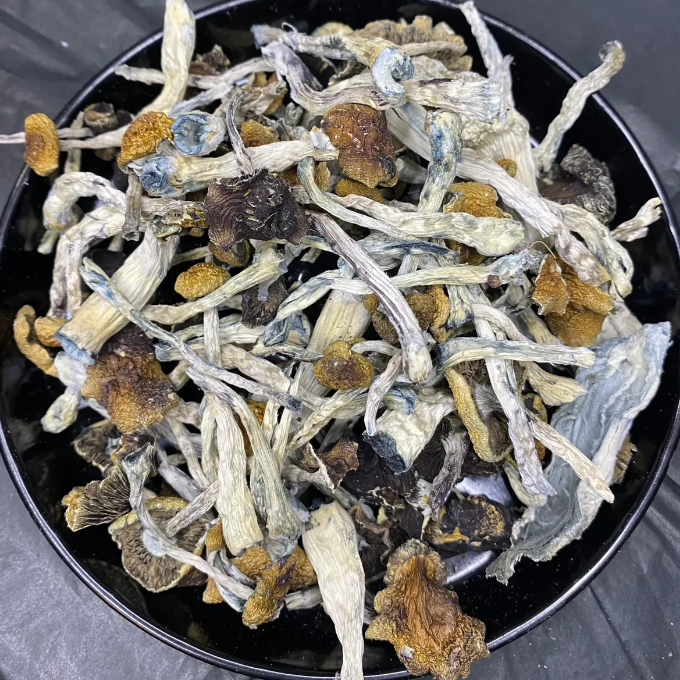Golden Teachers | Dried Whole Mushrooms